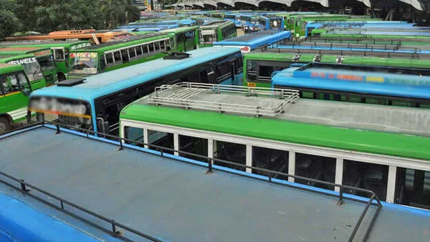 bus