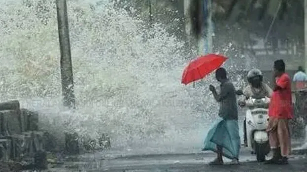 rain