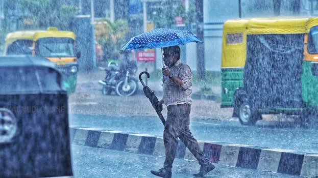 rain