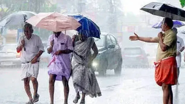 rain