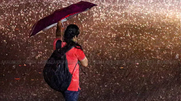 rain