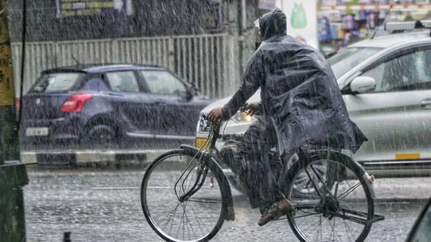 rain