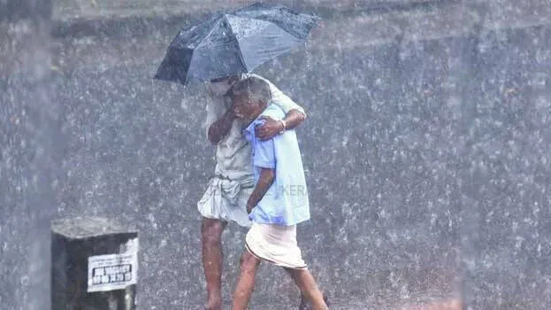 rain