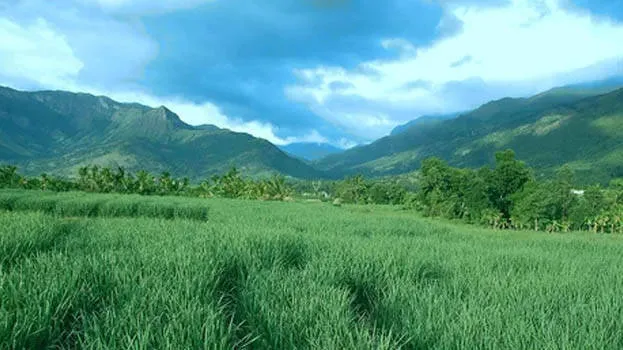 farm