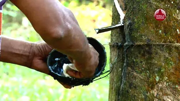 rubber