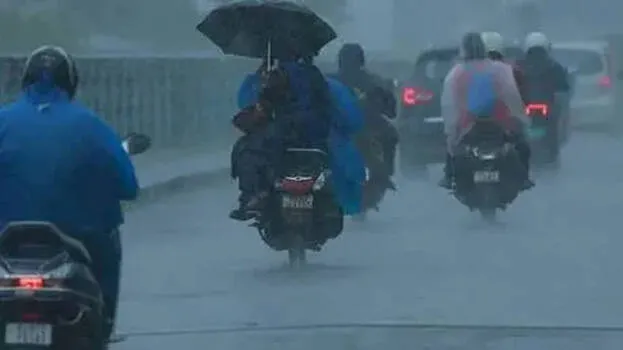 rain