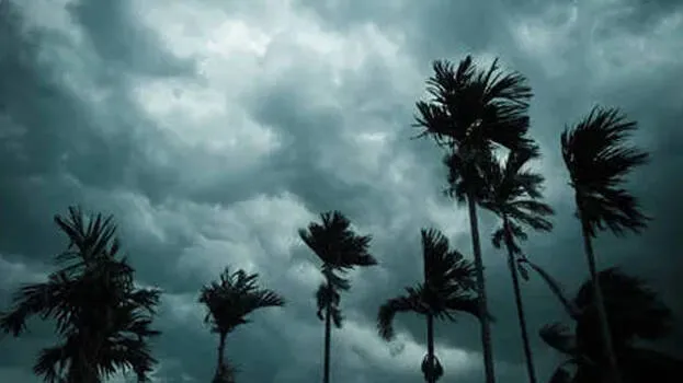 weather