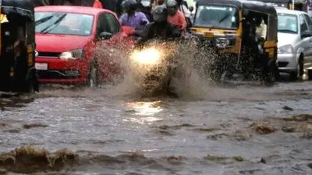 rain