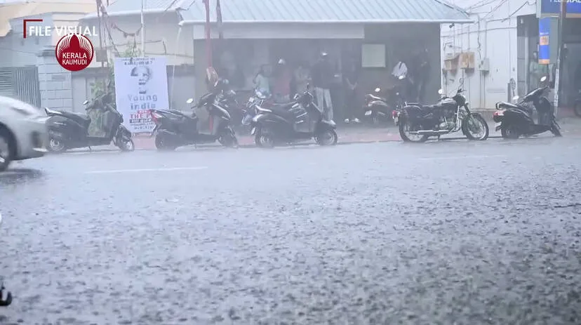 rain