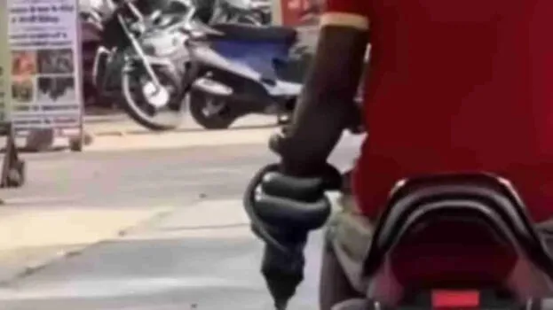 snake
