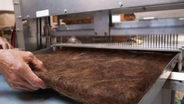 hair-bed