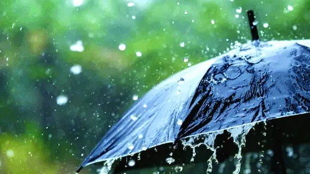 rain