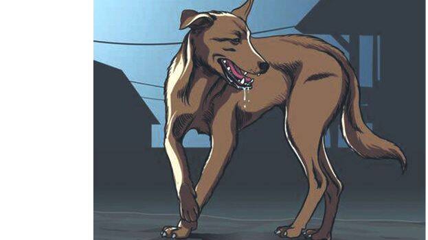 rabies