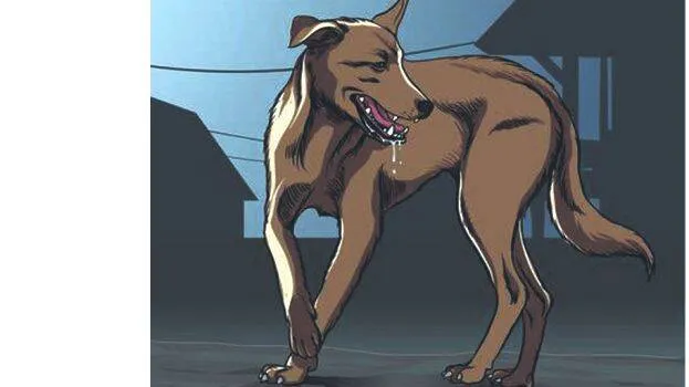 rabies