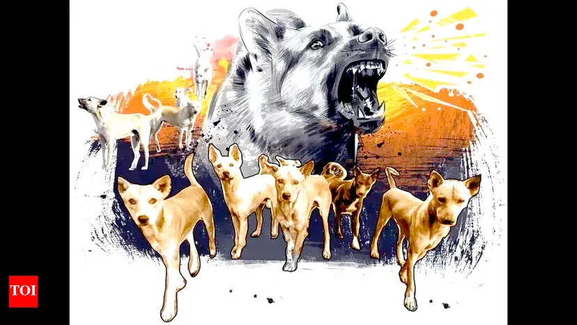 street-dog