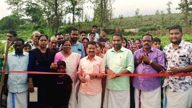 mla-