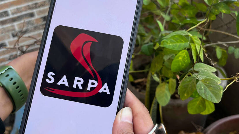 sarppa