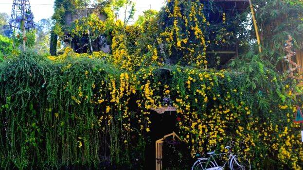 home-
