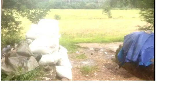 padam
