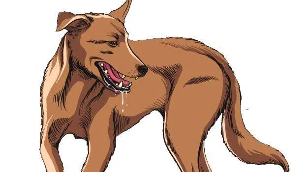 dog