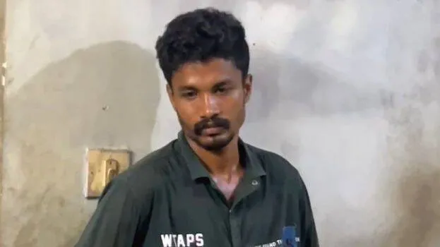 vvv