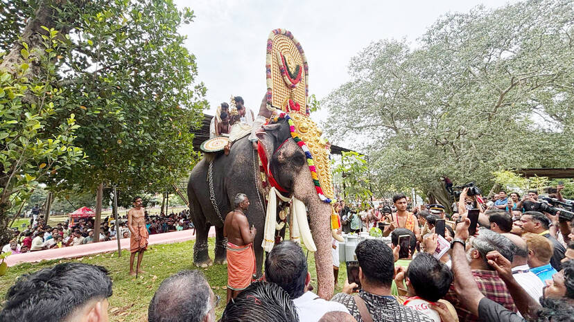nilapadu-thara