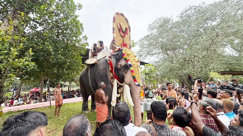 nilapadu-thara