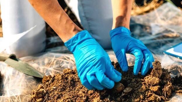 soil