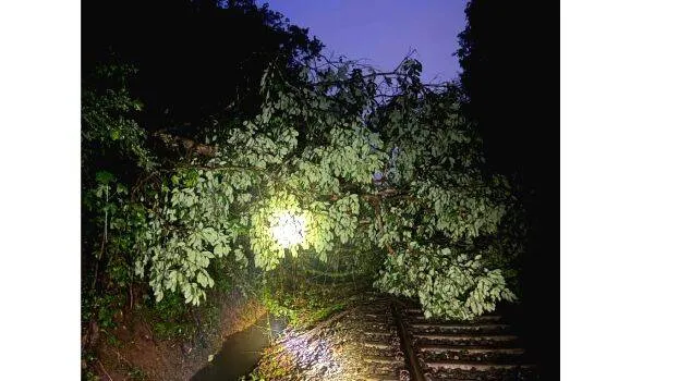 trian