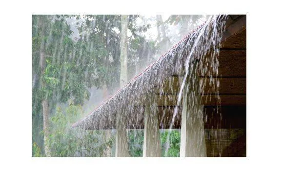 rain