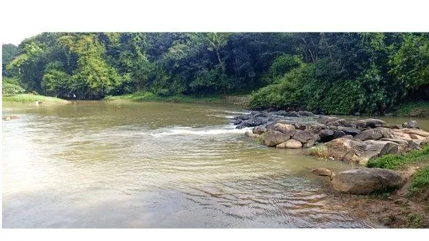 pallickal-puzha