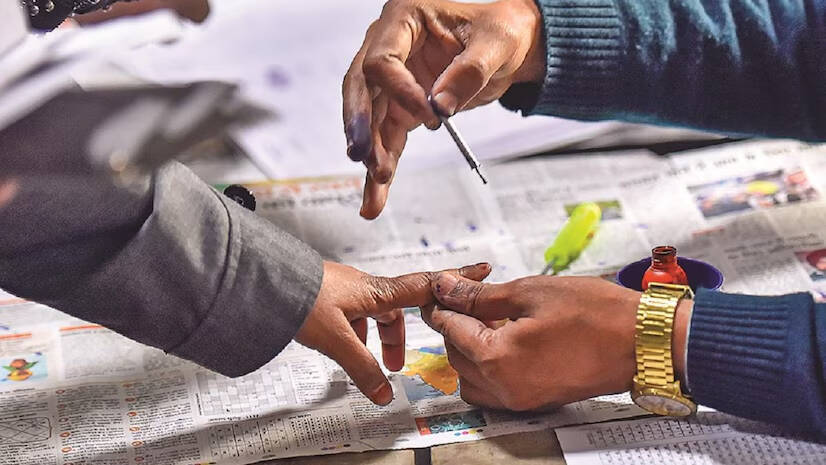 voter