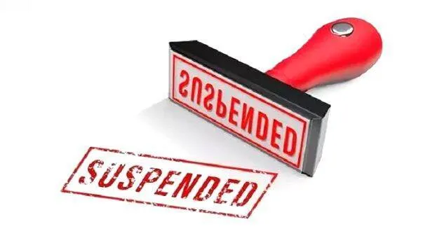 suspension