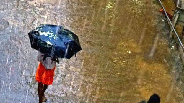 rain-6