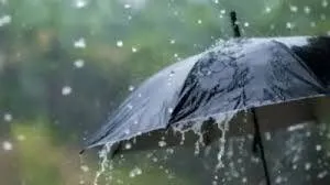 rain