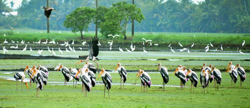 Kerala Kaumudi Photo Gallery