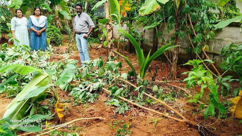 krishi-nasham