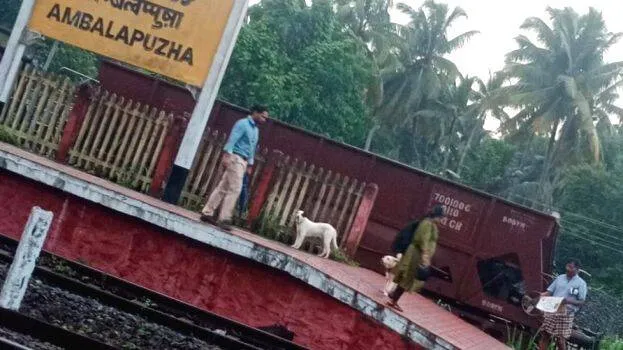 ambala