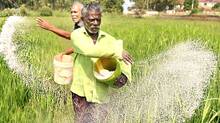 farmer