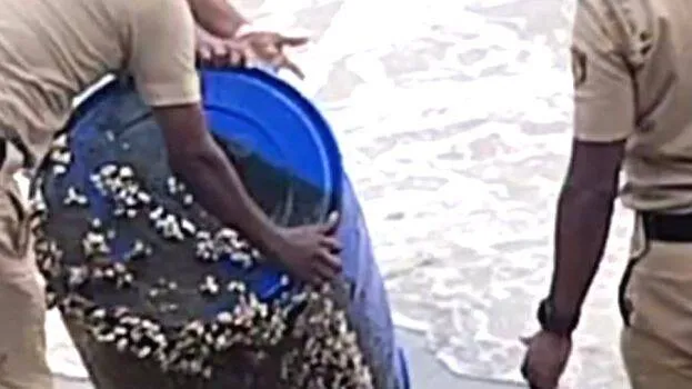 ambala