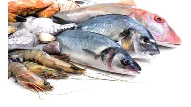 fish