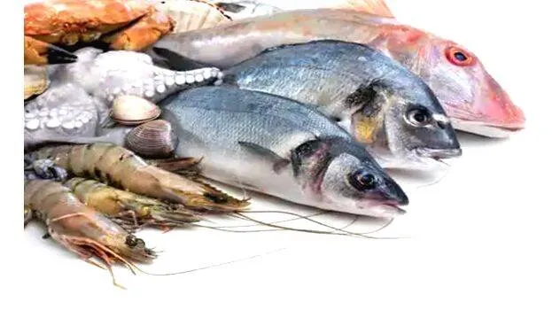 fish