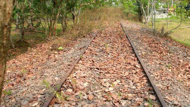 pic
