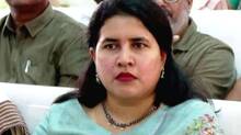 veena