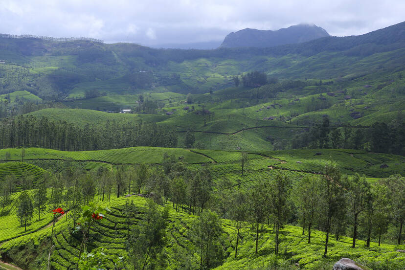Kerala Kaumudi Photo Gallery