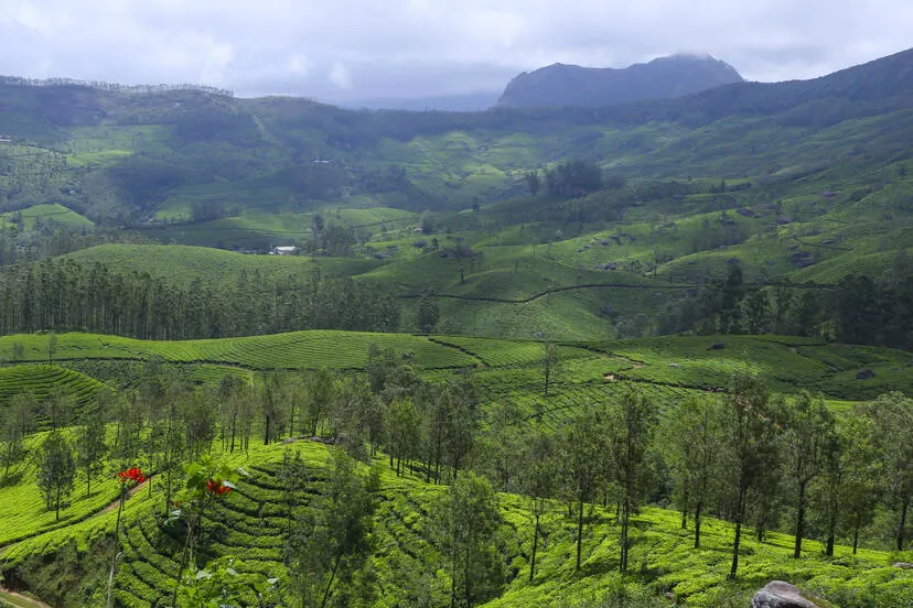 Kerala Kaumudi Photo Gallery