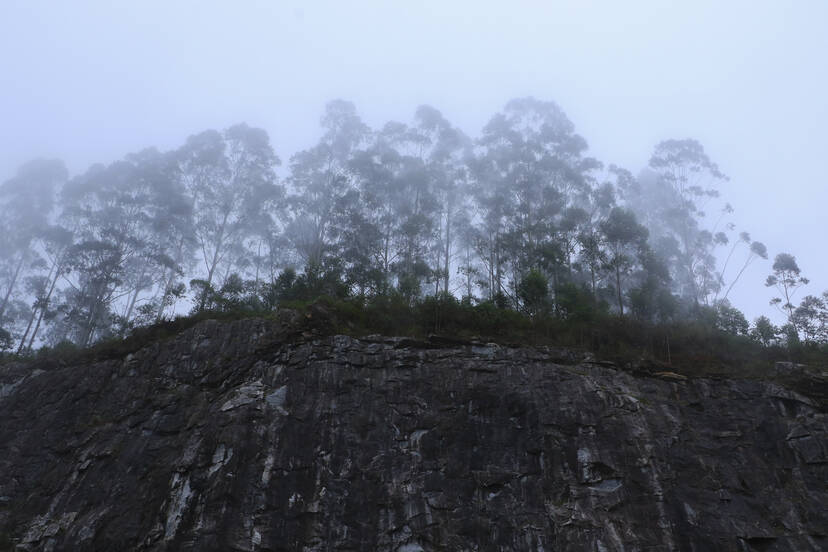 Kerala Kaumudi Photo Gallery