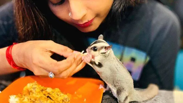sreelakshmi