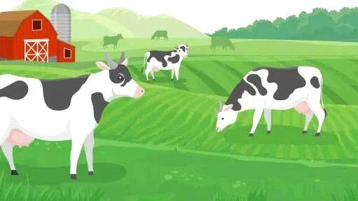 farm