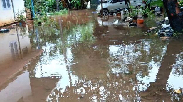 vellakkettu